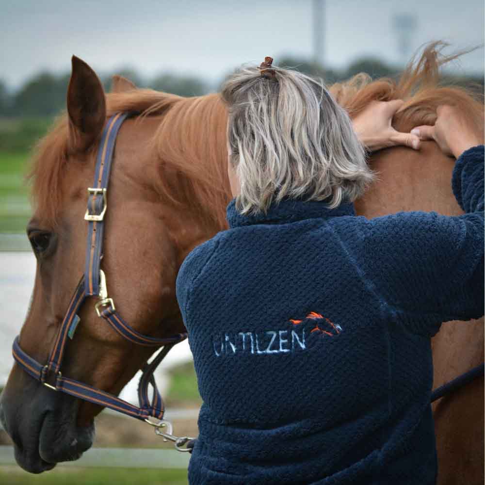 Untilzen Massage equin Untilzen Massage equin